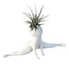 Funny Big Booty Ghost Planter Big Booty Air Plant Display Succulent Planter Decoration Plant Pots Funny Prank Gift