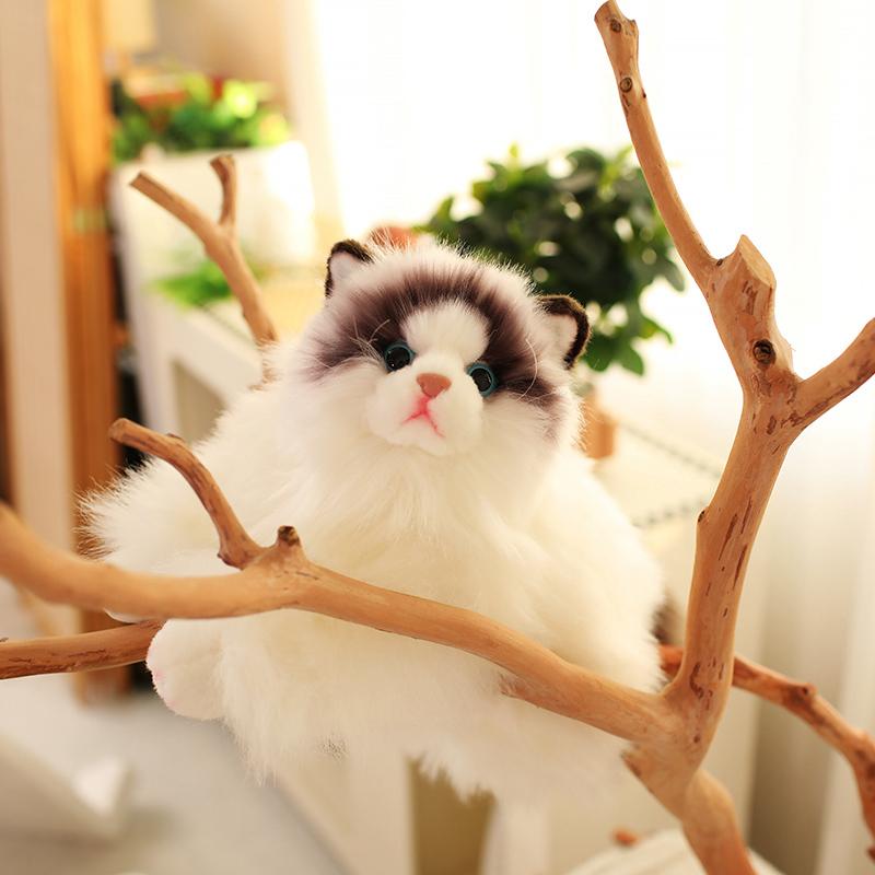 Søt Simulering Plysj Klutdukke Katteleke Myk Tegneserie Kosedyr Fluffy Hjemmedekor Gaver Til Jente