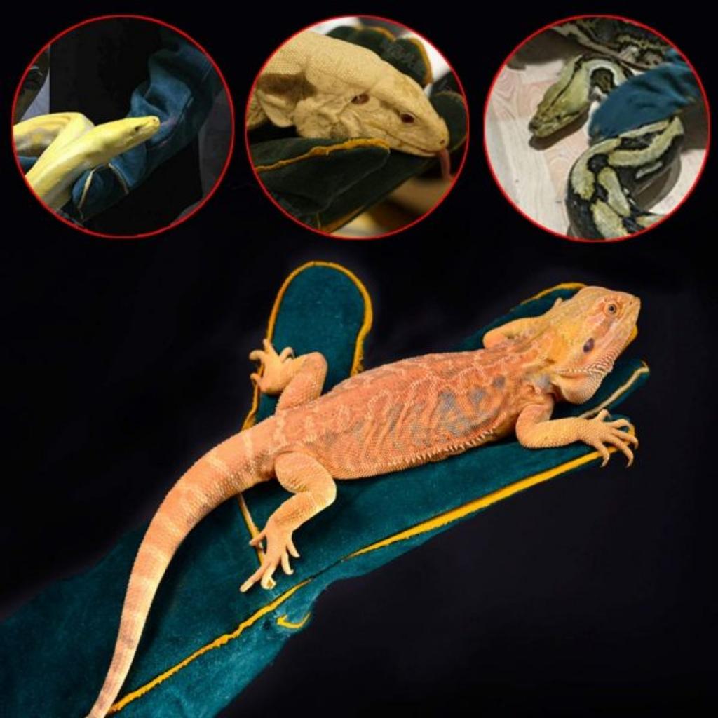 Pet Anti-Bite Safety Gloves Long Leather Catch Dog Bird Snake Lizard Reptiles Gloves For Pet Grip Biting Beekeeping Protective