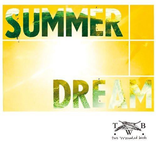 

CD TWO WOUNDED BIRDS - summer dream VJR3110 Vinyl Junkie Re 2011 Japan Rock Used