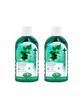 Dentiste Natural Oral Rinse 700ml X 2