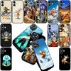 Aang Avatar Der letzte Airbender Hülle für Apple iPhone 16 14 15 Plus 11 Pro Max 16E ProMax + 15Plus 16+ 14+ Coque Handyhülle