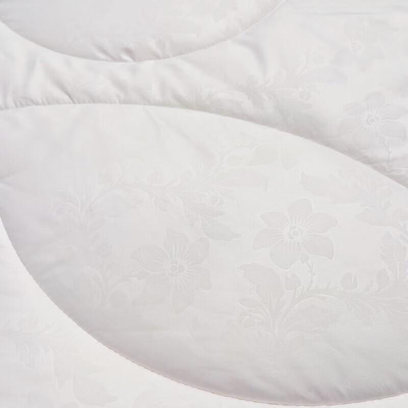 FUANNA Soybean Fiber Quilt