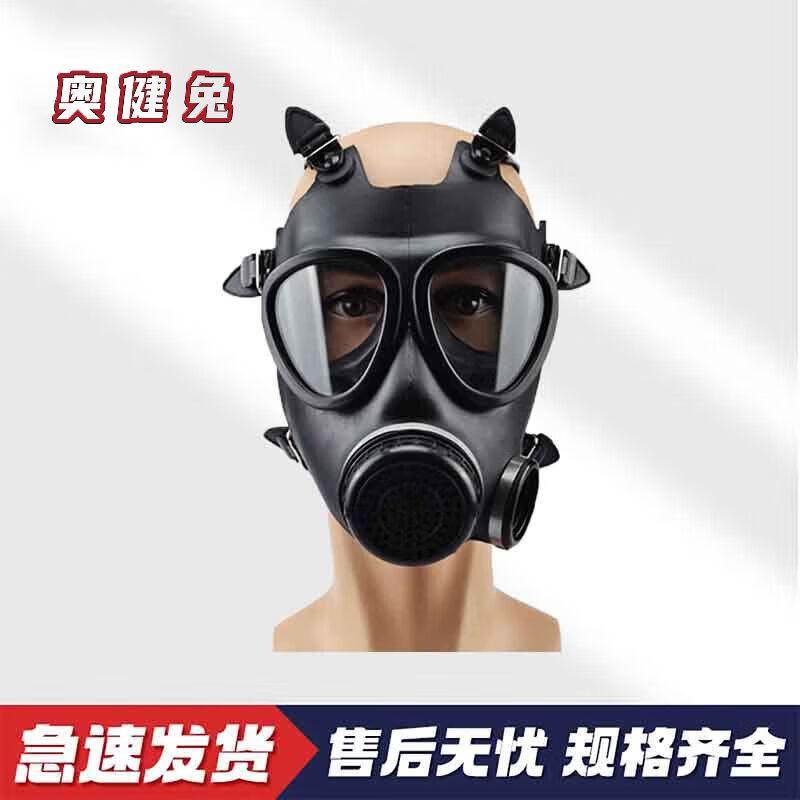 Aojian Rabbit FMJ05 Full-Face Gas Mask