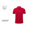Custom Logo Corporate Polo Shirt, Unisex Summer Style, Lapel, Short Sleeve, Embroidered Workwear