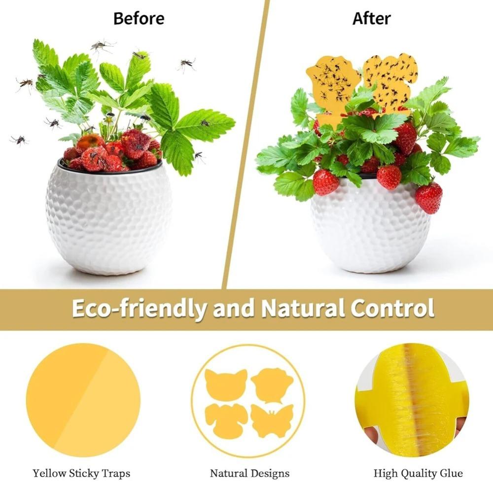 Insect Traps Protect The Plant Double Sided Gnat Traps Non-Toxic and Odorless Sticky Board Traps for Garden Plants Kitchen