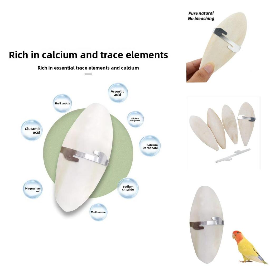 Pet Bird Chewing Treats With Odorless Calcified Cuttlefish Bone For Parrots And Small Birds