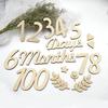 Wooden Baby Milestone Calendar & Photography Props for 100 Days and Monthly Celebrations
