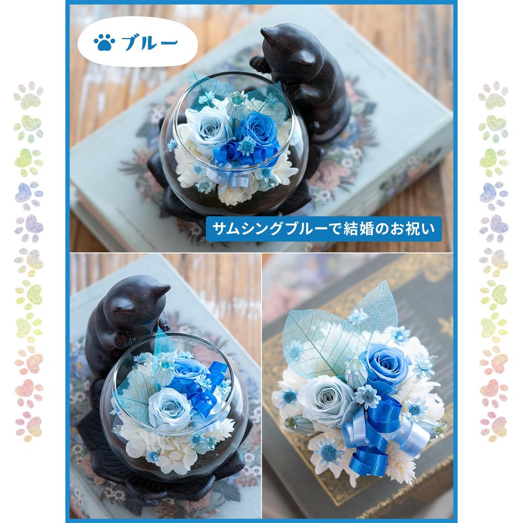 Utihana Rosa Preservada Gato Perfecto para y Otras Ocasiones Especiales Flores de Gato, Motivo, Cumpleaños, Jubilaciones, (Azul, Amante)