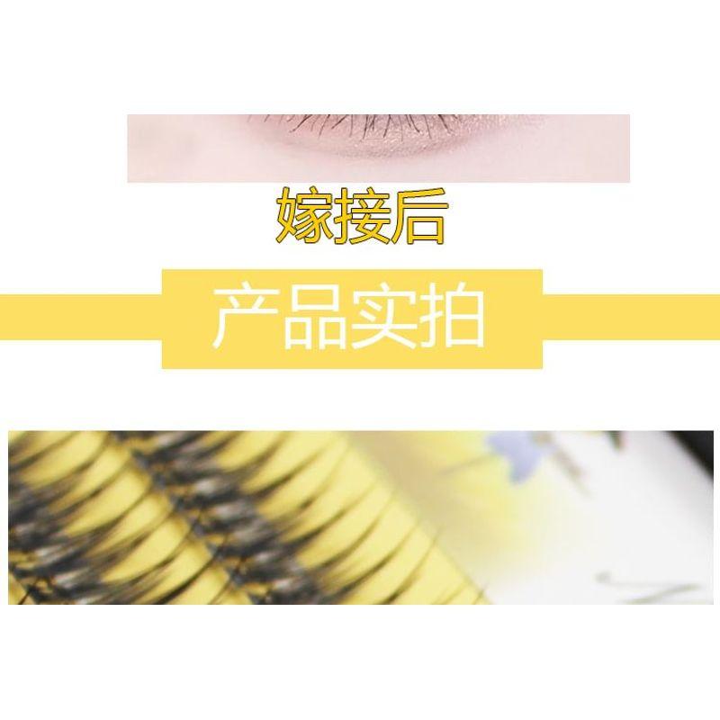 LuxeFlutter - Natural Wispy Cluster False Eyelashes