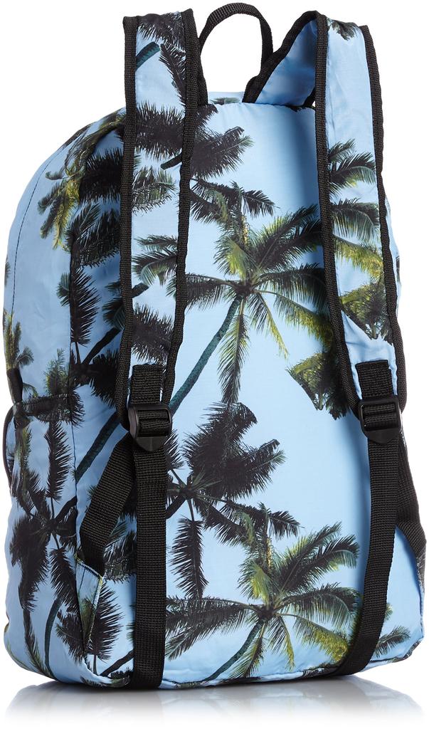 Nixon Backpack EVERYDAY Blue