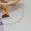 Titanium Steel Necklace Accessory - Women's Summer High-end Luxury Niche Stainless Steel Jewelry - Cherry Style Collar Chain