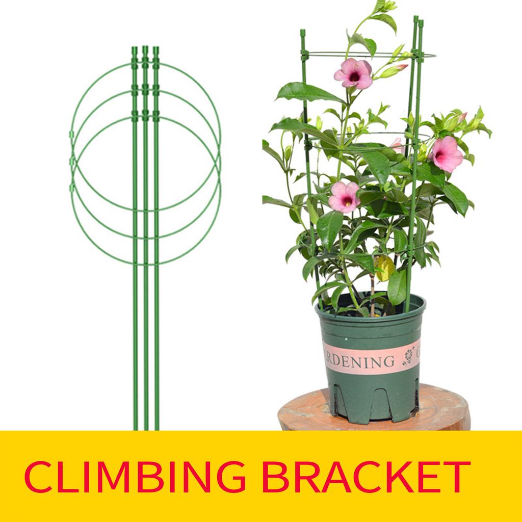 Plant Support Cage Resistant Garden Plant Support Ring Plant Stake Plant Support Tomato Cage, 45 Cm Plant Lattice Frame Kit