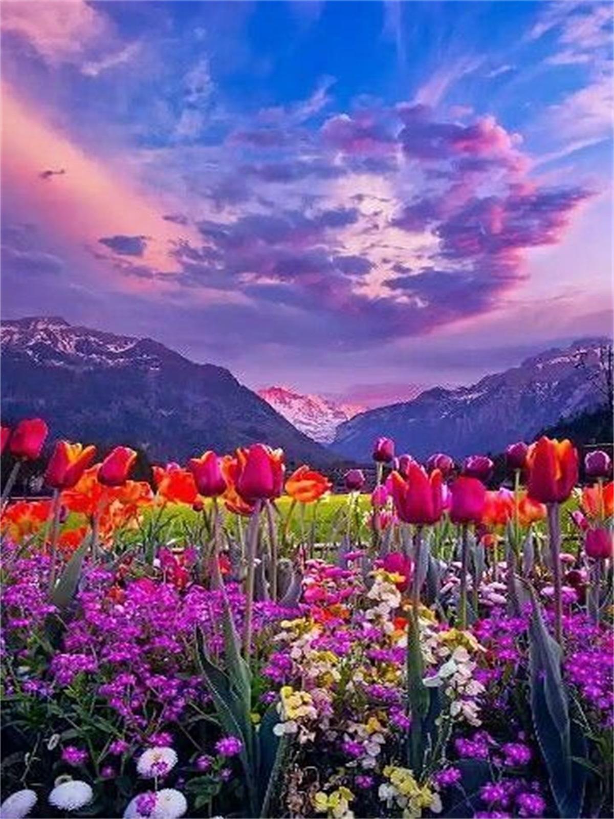 

Круглая алмазная живопись «сделай сам», вышивка крестиком 5D Алмазная мозаика, вышивка, пейзаж, животные, 3d картина, подарок, украшение дома, картина Full Round 20x30CM