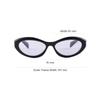 Prada Symbole Cat Eye Sunglasses Women Sunglasses Black SPR26Z_E16K_FE40J_C_A056