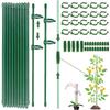 Plant Support Stakes Set for Garden and Potted Plants Adjustable Connectors and Clips for Climbing Plants Tomato Orchid Vegetable Flowers