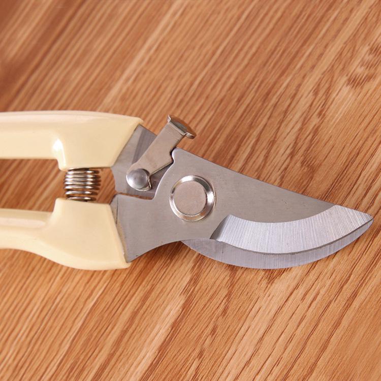 Stainless Steel Pruning Shears: Garden Scissors for Branches, Fruits, Flowers, and Grafting