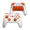 NBCP Controller for with Back Wireless Rapid Fire Turbo and Macro Gyro Compatible with Includes Japanese Instruction Manual X WOLF-V8 Switch/Switch 2,