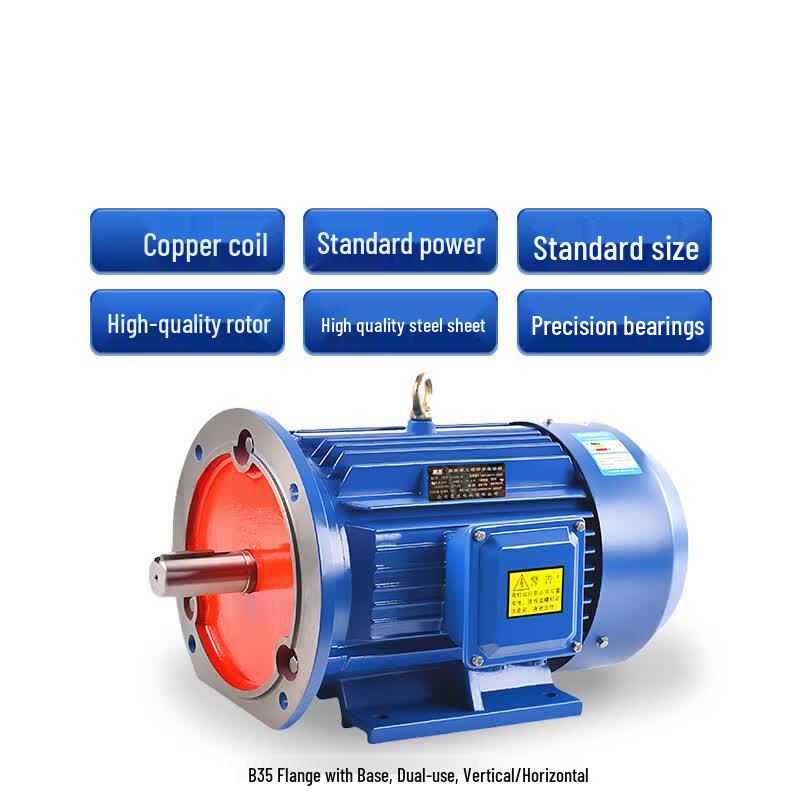 YE3 Series Low-Voltage Asynchronous Electric Motor