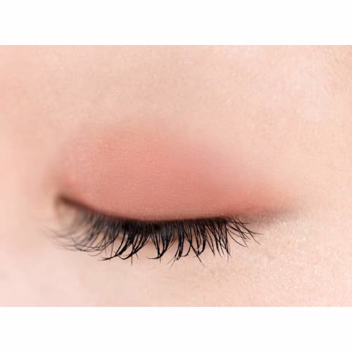 excel Eye Planner F01 (last Night) Eye Shadow