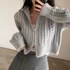 Long-sleeved  Cardigan Sweater for Women Autumn Winter Retro Loose Tops Stand-up Collar Knitwear Y2k Korean Style Clothing