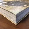 [USED] Monstress Book One, Marjorie Liu
