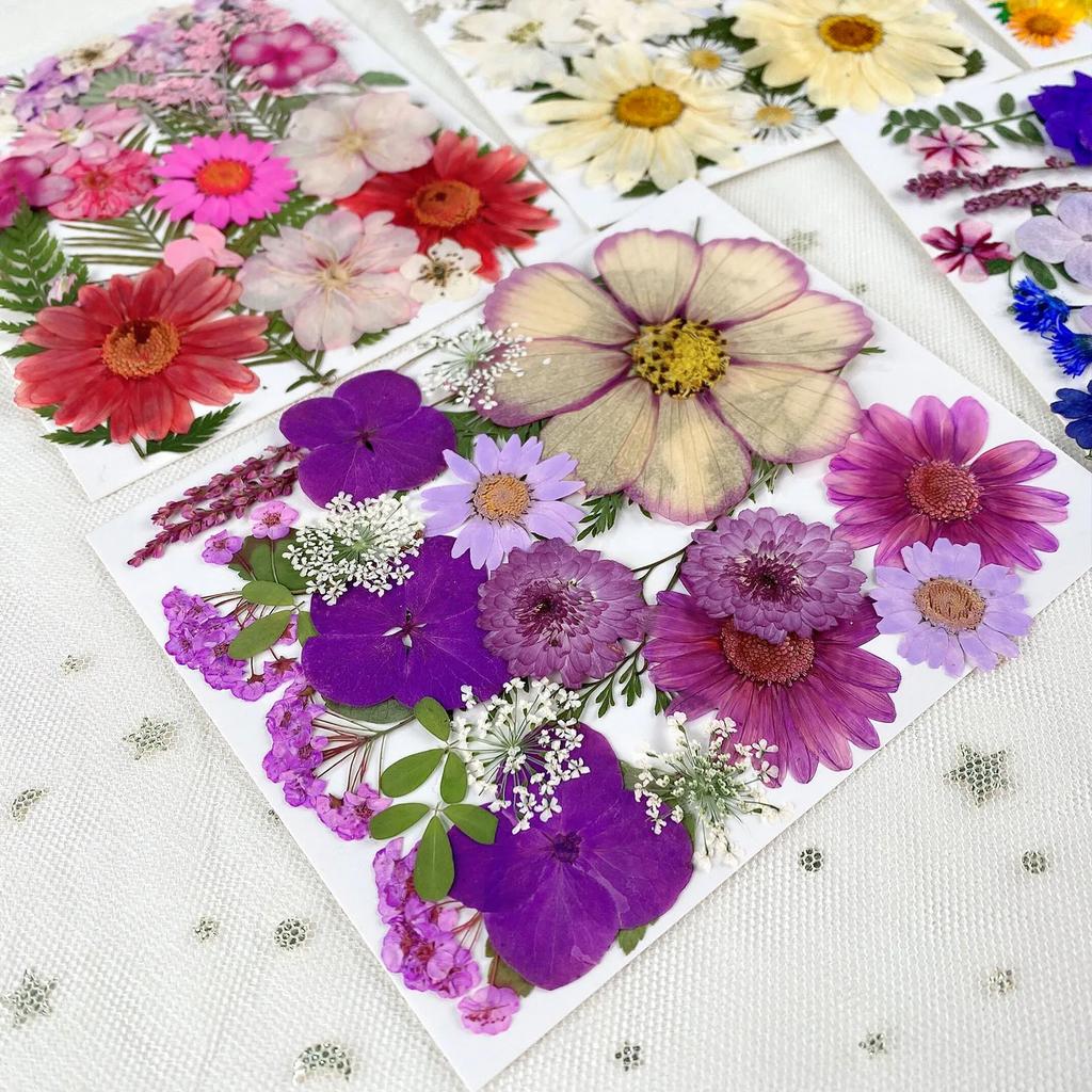 25PCS Dried Flowers Set for DIY Resin Pendant Making Filling Pressed Real Natural Flowers Leaves for Bookmark Phose Case Making