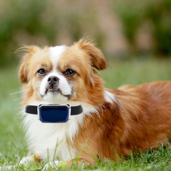 Pet Tracker Adjustable Virtual Fence IP68 Waterproof Location History Live Tracking Precise Position