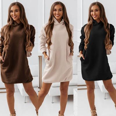 Damen Sweatshirtkleid Hoodies Herbst Winter Sweatshirts Warm Langarm Herbst Einfarbig Kapuzen Langarm Hoody Kleid