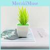 Artificial Succulent Plant With Plastic Craft For Home Decor And Office Use