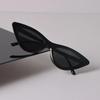Fashion Sunglasses Women Men Cat Eye Mirror Small Brand Designer Black Sun Glasses Trendy Eyewear Unisex Sexy Classic