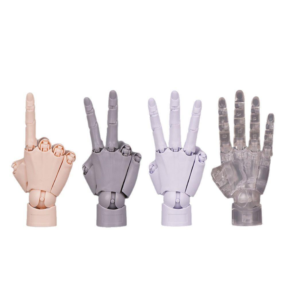 1:2 Scale Human Hand Model Mini Size Twisted Egg Design Palm Model Movable Joints With Posable Fingers Movable Finger Joints
