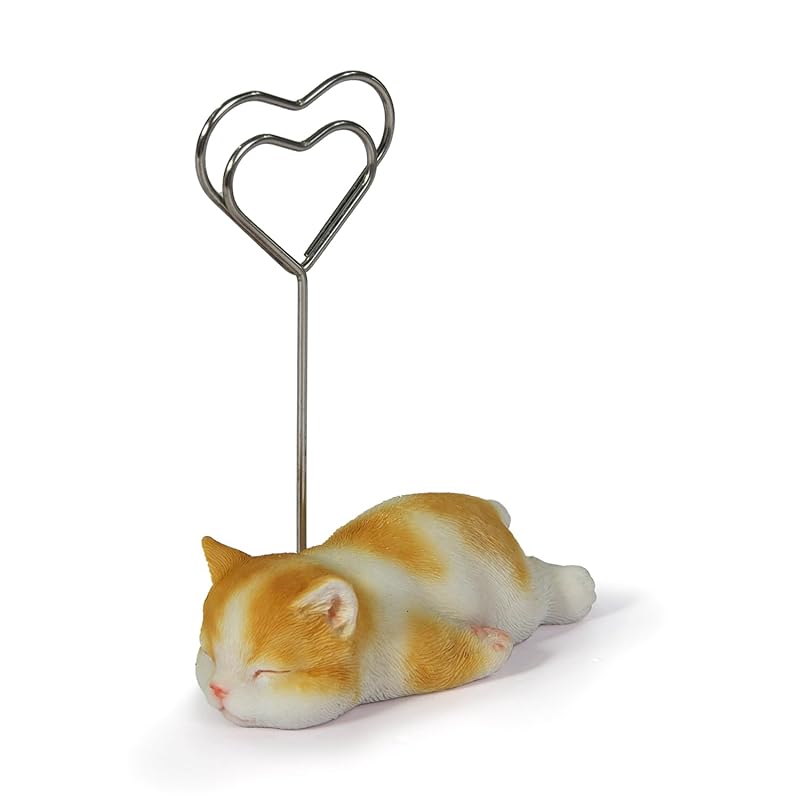 

Держатель для заметок Woobia brown tabby white cat 6.5×4×11 см кукольная фигурка украшение животное украшение для сада кошка H23215