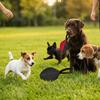 Tough Woven Texture Dog Training Toy German Shepherd Malinois Toy  Pet Behavioral Guidance