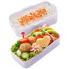 Skater Bento Box 2 Tiers 600ml for Women Antibacterial Fluffy Dome Lid See-Through Lavender Made in Japan PFLW4AG-A