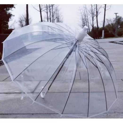 Transparent Umbrella with Waterproof Cover, 16-Bone Automatic Bending Structure, Long Handle, Wind-Resistant, for Retail Sale