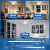 Modern Ceiling Led Light Fan 52CM 42CM Silent with Remote Control Ceiling Fan Lamp for Room Office Study Kitchen