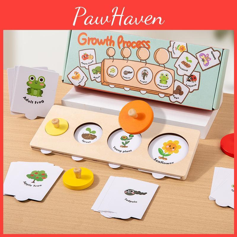Cycle Growth Montessori Puzzle Wooden Educational Toy For Learning Preschool