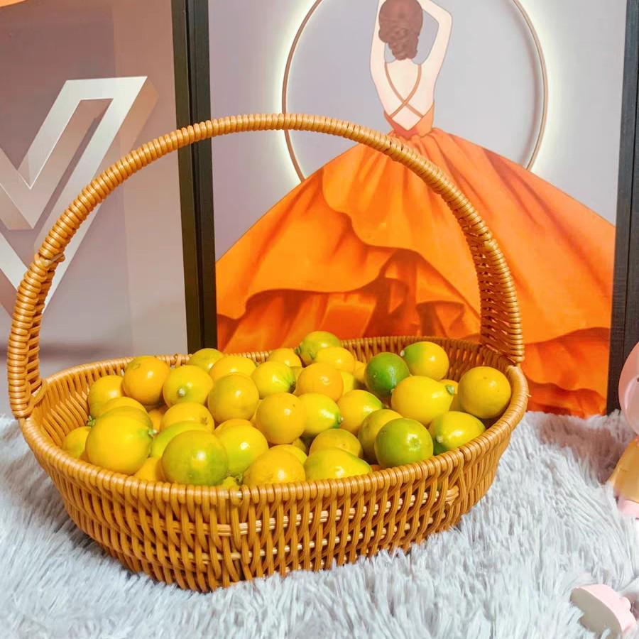 Rattan-Look Iron Frame Handbasket: Plastic Woven Flower, Vegetable, Shopping, Wedding Gift, Outdoor Restaurant Storage Basket.