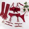 Sexy Lingerie Sexy Garter Hollow Four-Piece Set for Women