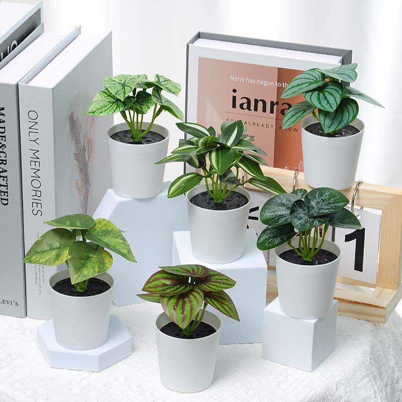 INS Style Small Artificial Grass Plant Ornaments for Indoor Decoration and Flower Display
