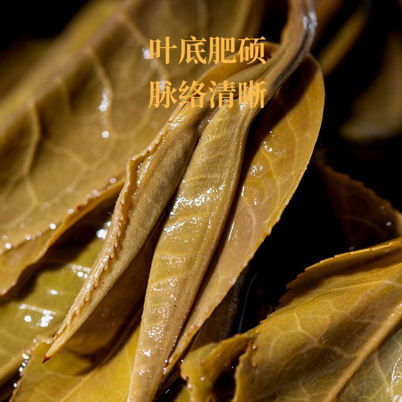 Yunnan Ancient Tree Puerh Tea Raw Tea Golden Melon Tribute Tea Yiwu 500g