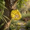 Hanging Banana-Shaped Bird Feeder, Resin Bird Bath/Feeder, Bird Feeders for Outdoors Hanging, Wild Bird Feeder Forluebirds, Cardinals