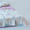 Woodpecker Ice Silk Cloud Feel Summer Quilt