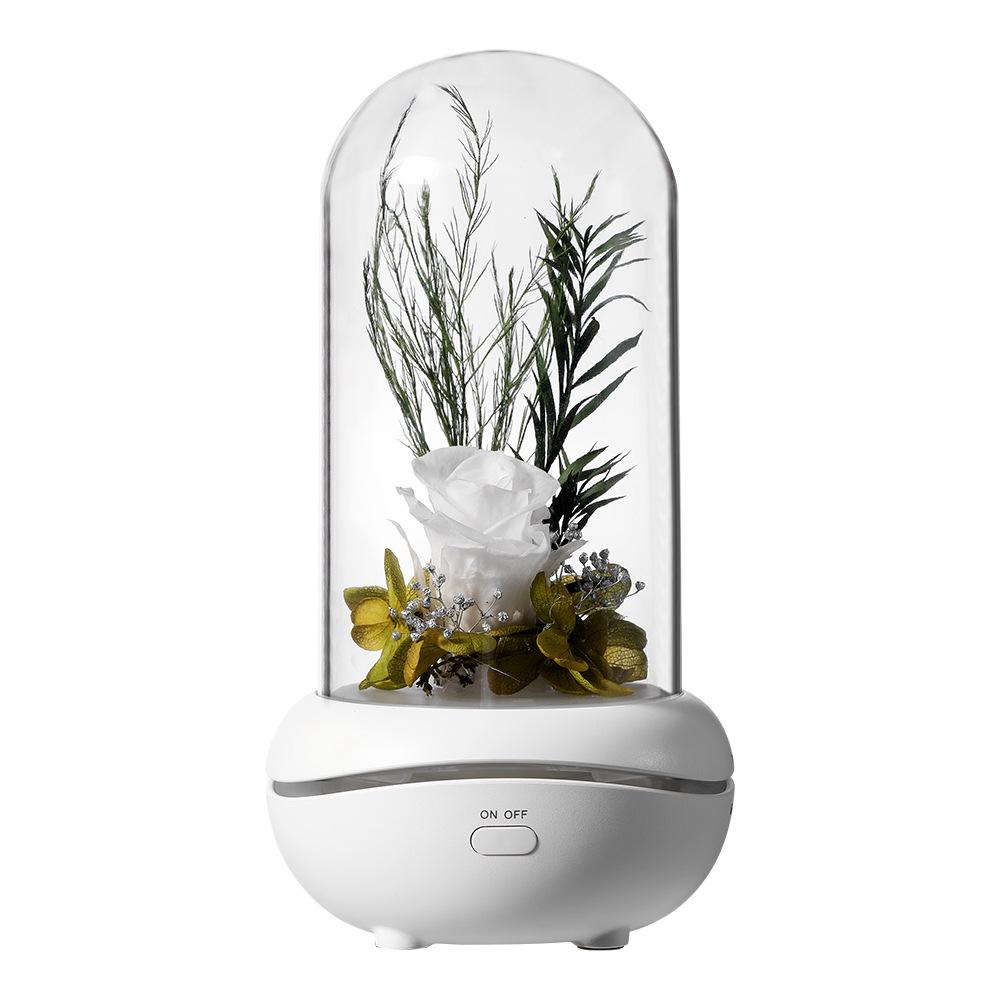 USB Rechargeable Eternal Flower Fragrance Night Light Mute Lava Lamp Mini Essential Oil Desk Lamp Holiday Gift Bedroom Décor