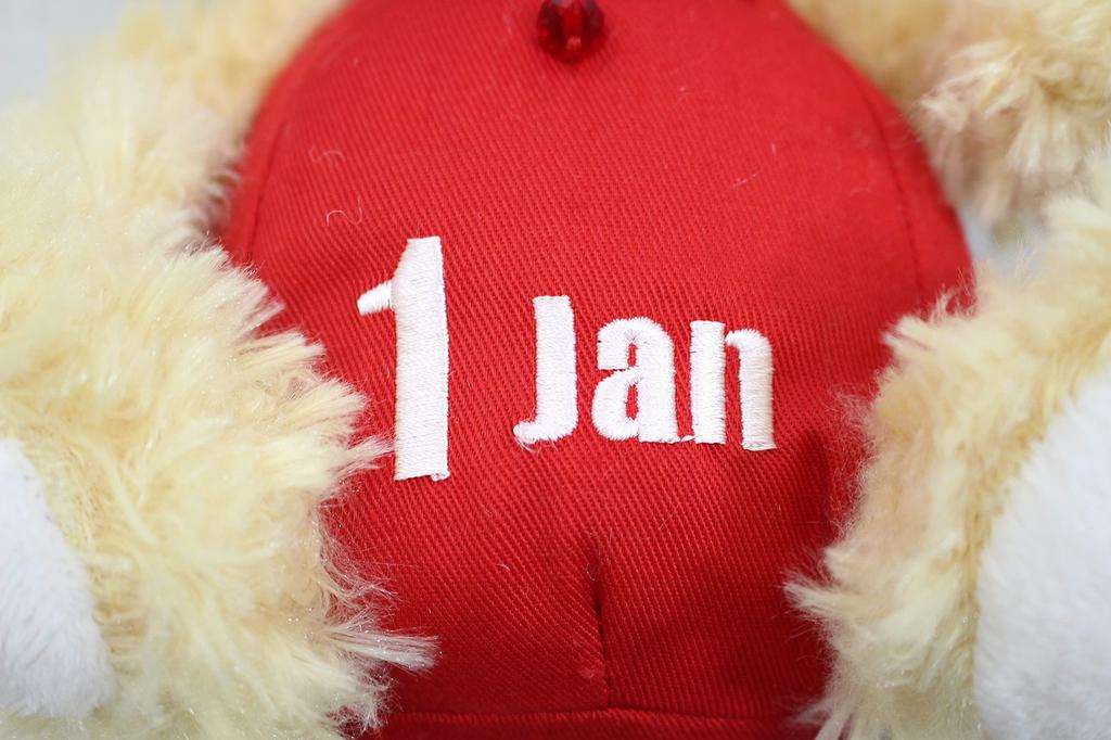 Takeoff Plush Toy BEAR'S365 January Beige