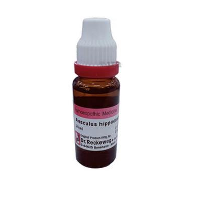 @ Dr. Reckeweg Aesculus Hippocastanum Homeopathic 20ml M613 UKR153_60%OFF