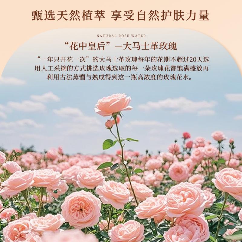 Rose Essence Treatment Water
