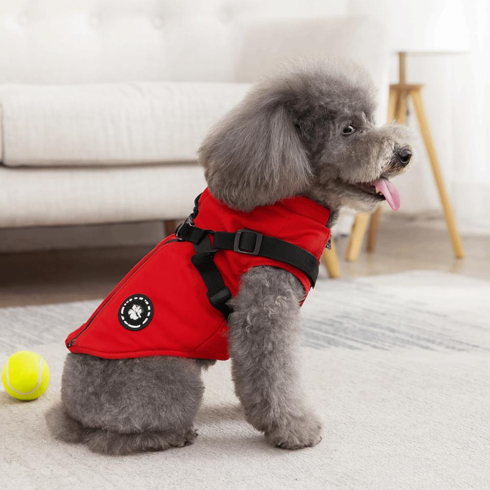 Puppy Outfit Adjustable Dogs Down Clothes Warm Windproof Winter Dog Clothes Soft with Harness Dog Coat Winter