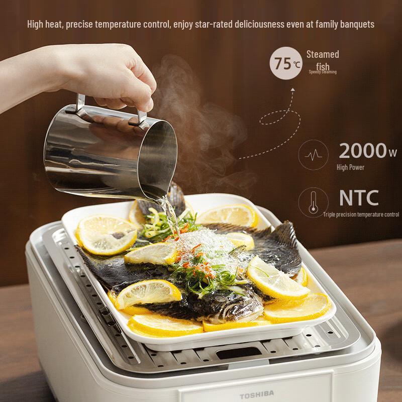 Toshiba ES-20MSTC 17L Double-Layer Multi-functional Electric Steamer CN plug (adapter included)